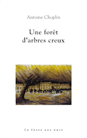 Une fort d'arbres creux