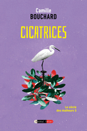 Cicatrices