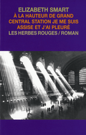 À la hauteur de Grand Central Station je me suis assise et j'ai pleuré