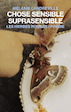 Chose sensible suprasensible