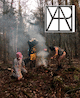 Artefacts comportmentaux / Behavioural artifacts [dition bilingue]