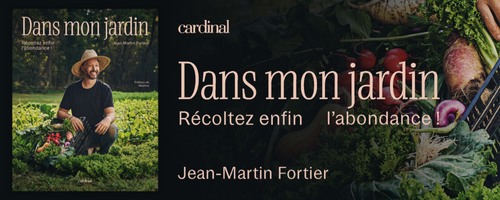 Diffusion Dimedia