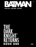 Dark Knight returns (The), v. 01